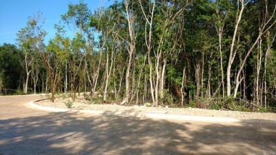 terreno residencial, senderos mayakoba, playa del carmen