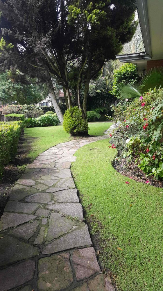 bonita casa remodelada en esquina en renta/venta bosques de las lomas