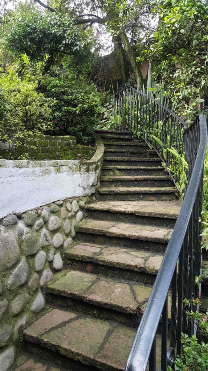 bonita casa remodelada en esquina en renta/venta bosques de las lomas