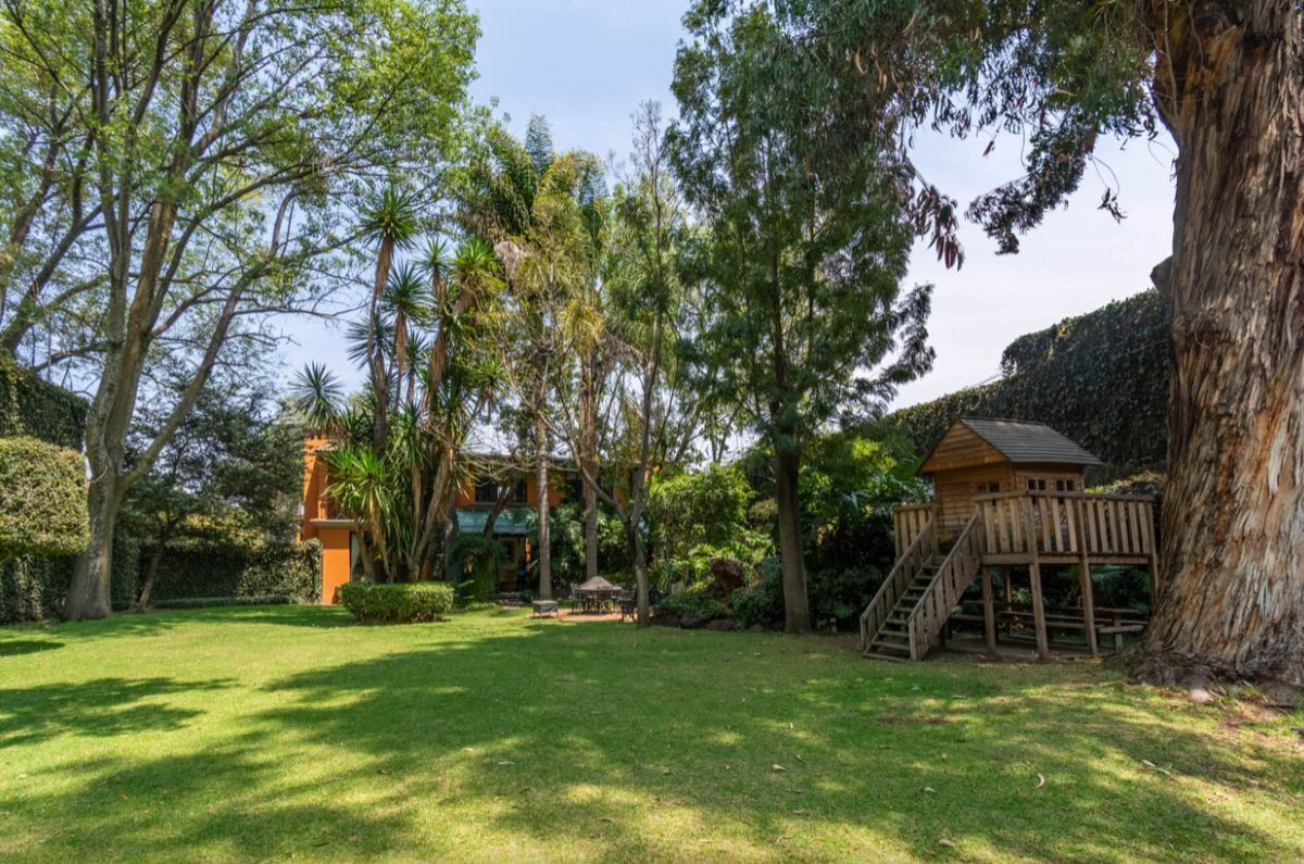 el mejor jardín de jardines del pedregal