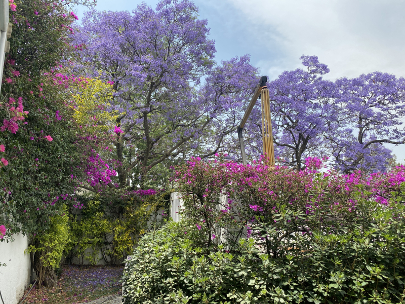 CASA EN VENTA LOMAS DE CHAPULTEPEC