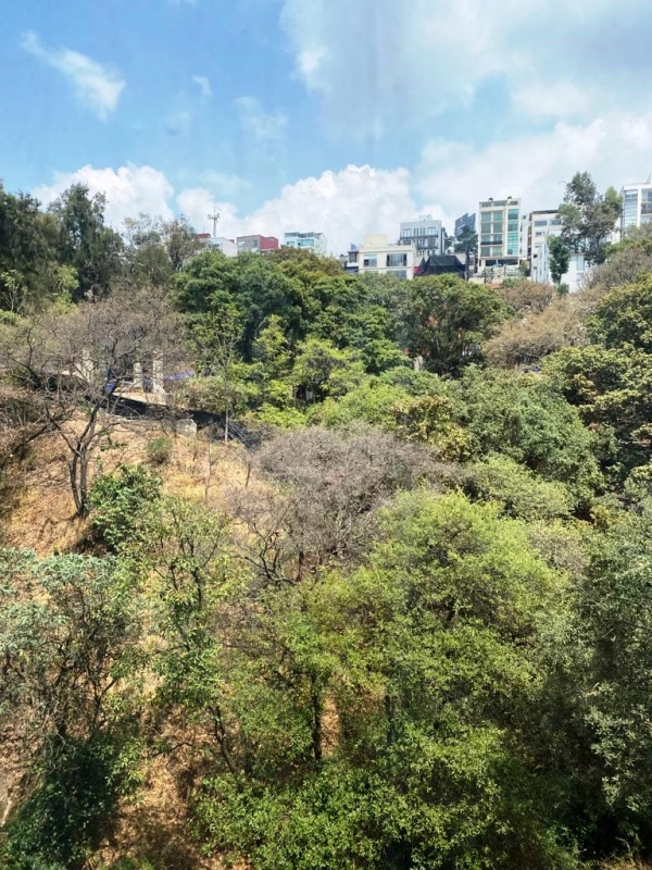 bosque de canelos, depto con vista arbolada. edificio exclusivo. baja de precio