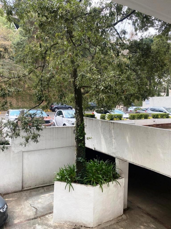 bosque de canelos, depto con vista arbolada. edificio exclusivo. baja de precio