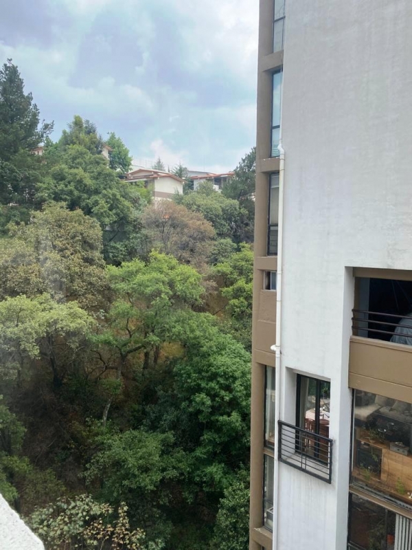 bosque de canelos, depto con vista arbolada. edificio exclusivo. baja de precio