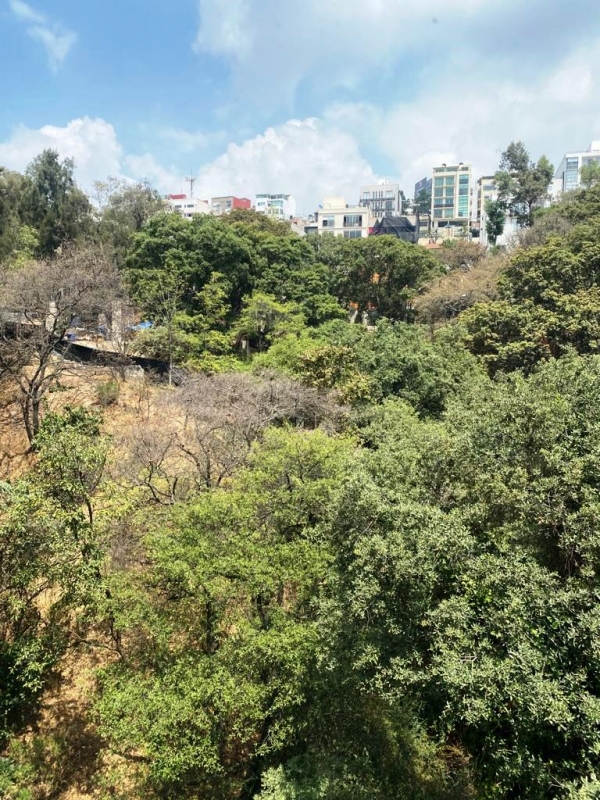 bosque de canelos, depto con vista arbolada. edificio exclusivo. baja de precio