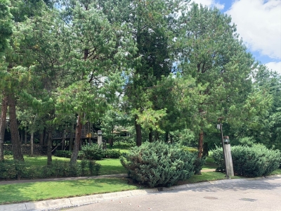 hacienda santa fe, casa en venta en la loma santa fe