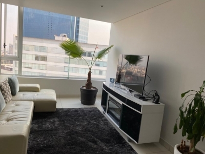 departamento ph seminuevo en venta wtc - en la napoles