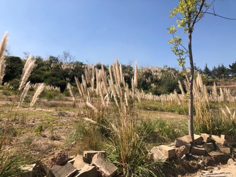 terreno en venta en jesús del monte 