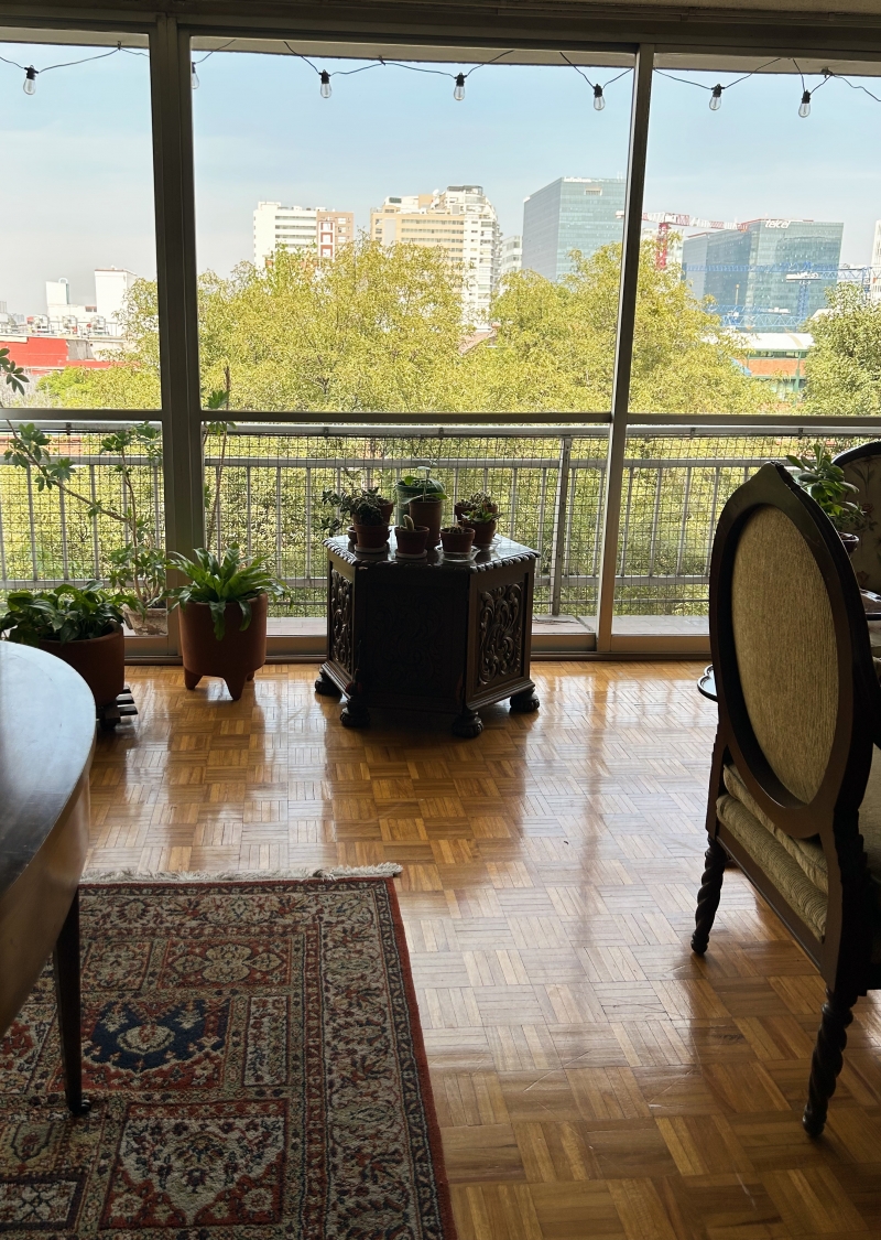 departamento en venta en homero polanco