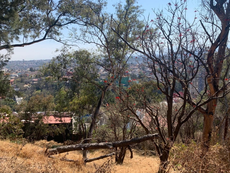 Terreno en Venta en Lomas de Santa Fe