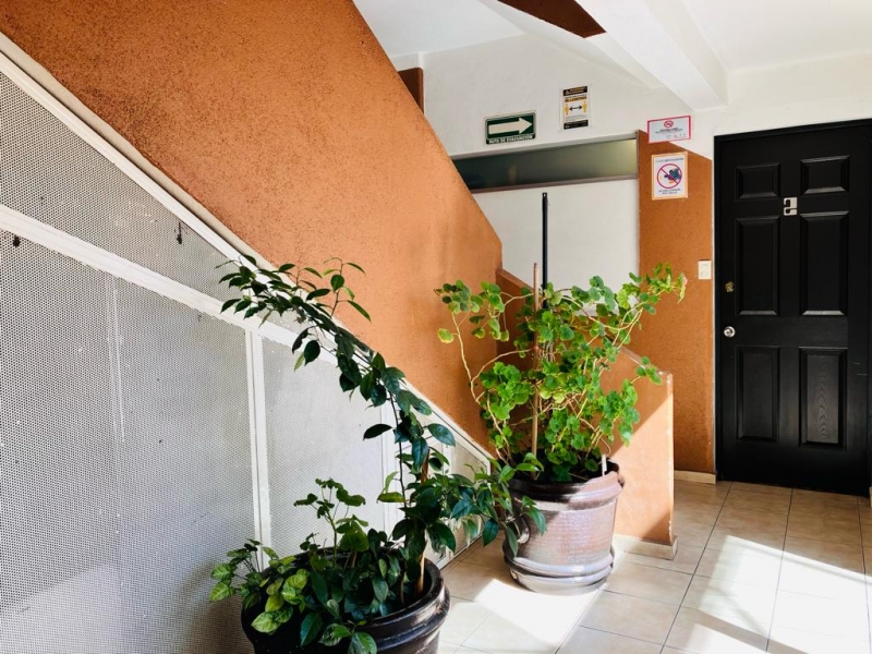 edificio uso mixto en venta col doctores