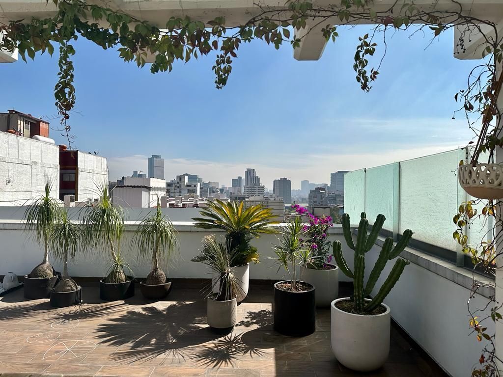 venta departamento con roof garden polanco