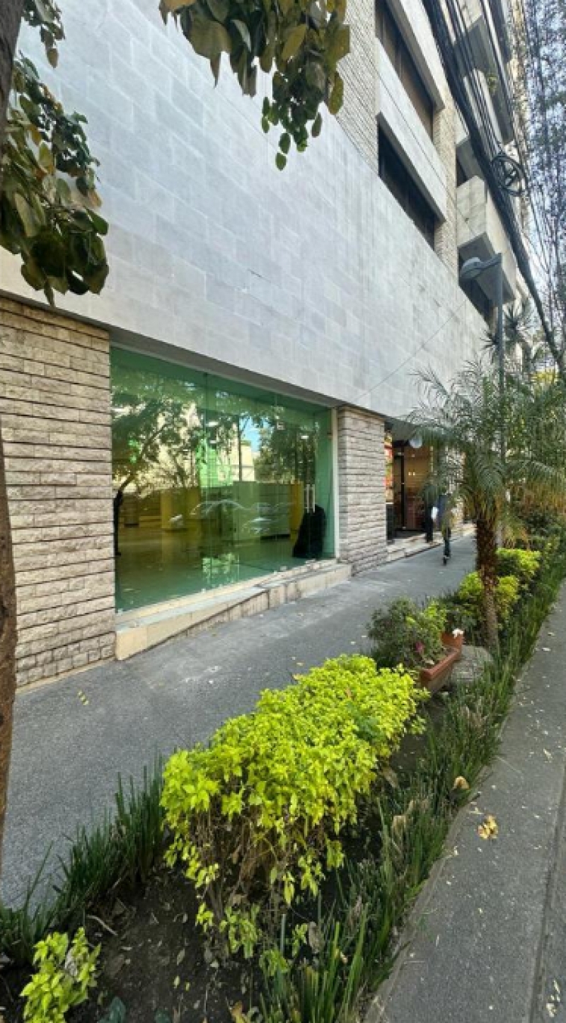 local comercial en renta en temistocles polanco