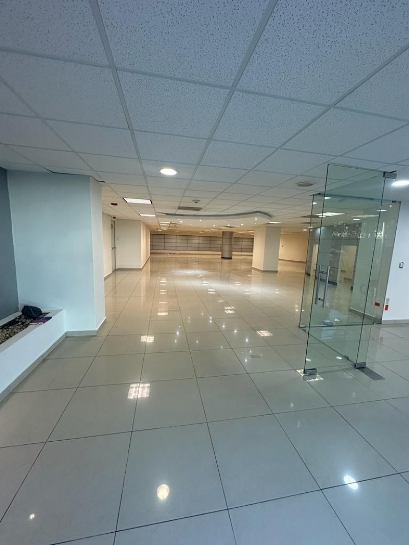 local comercial en renta en temistocles polanco