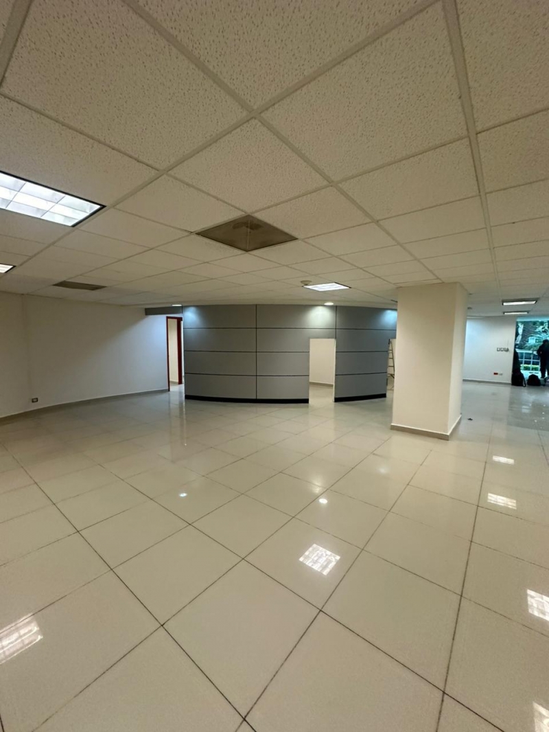 local comercial en renta en temistocles polanco