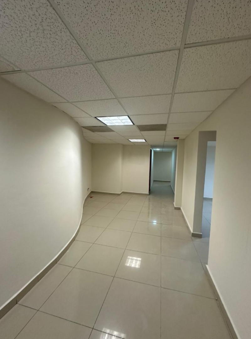 local comercial en renta en temistocles polanco