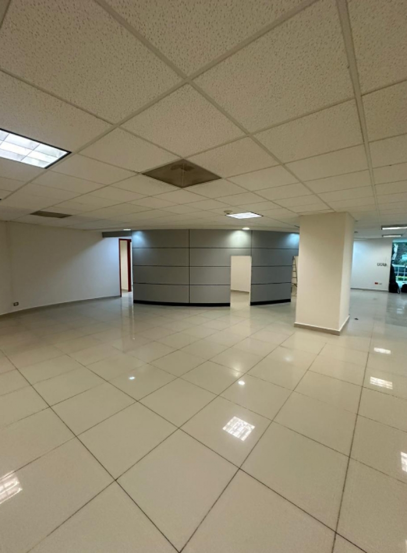 local comercial en renta en temistocles polanco