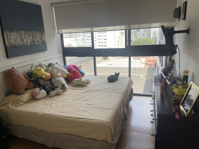 departamento en venta polanco, muy buena ubicación