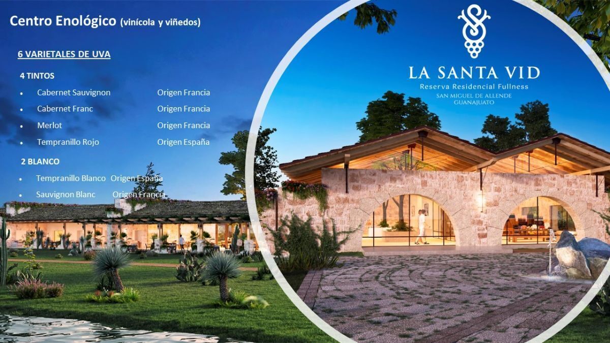 preventa casa en venta la santa vid (viñedo)