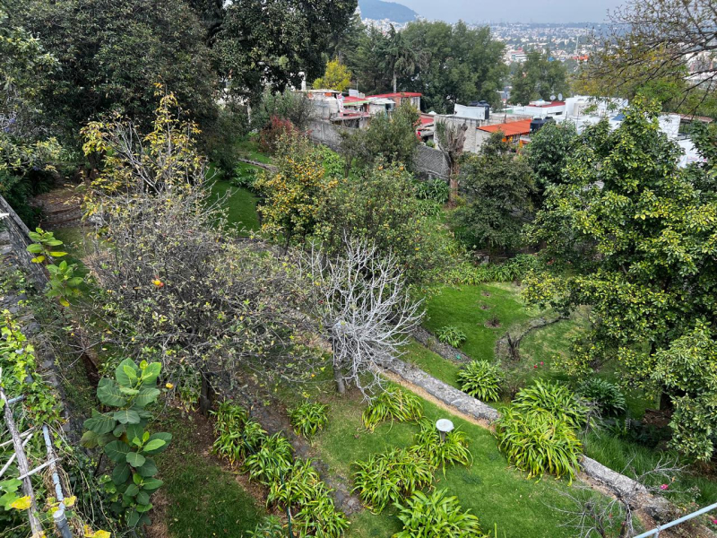 Terreno en Venta en San NicolÃ¡s Totolapan